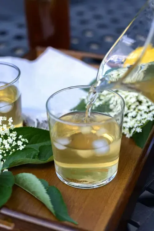 Elderflower and Lemon Cordial